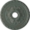 Ekena Millwork Palmetto Ceiling Medallion (Canopies up to 5"), 20 7/8"OD x 3 5/8"ID x 1 5/8"P, Cloud Burst Crackle CM20PMCBC - alternate 1
